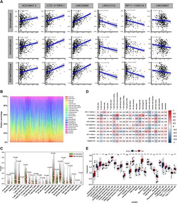 Identification of a apoptosis-related LncRNA signature to improve prognosis prediction and immunotherapy response in lung adenocarcinoma patients